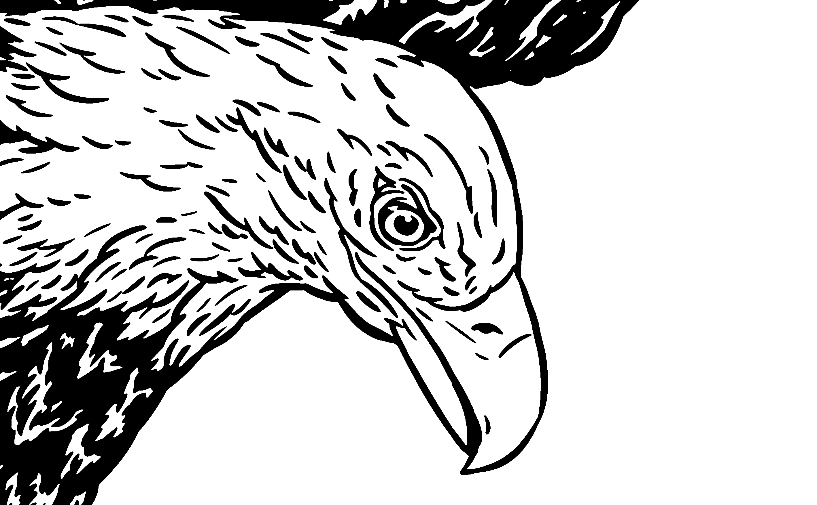 Before: raster original